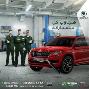 329089656_575184394481827_5181884518578344521_n